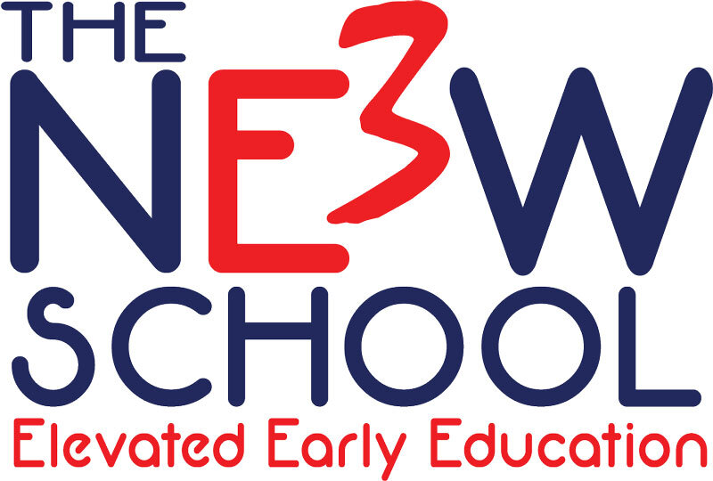 New School Blue logo Jan FINAL web